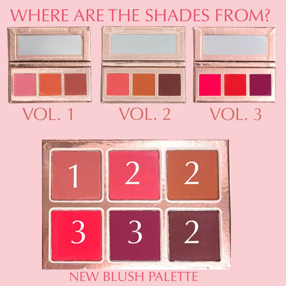 Blushin' On You Blush Palette