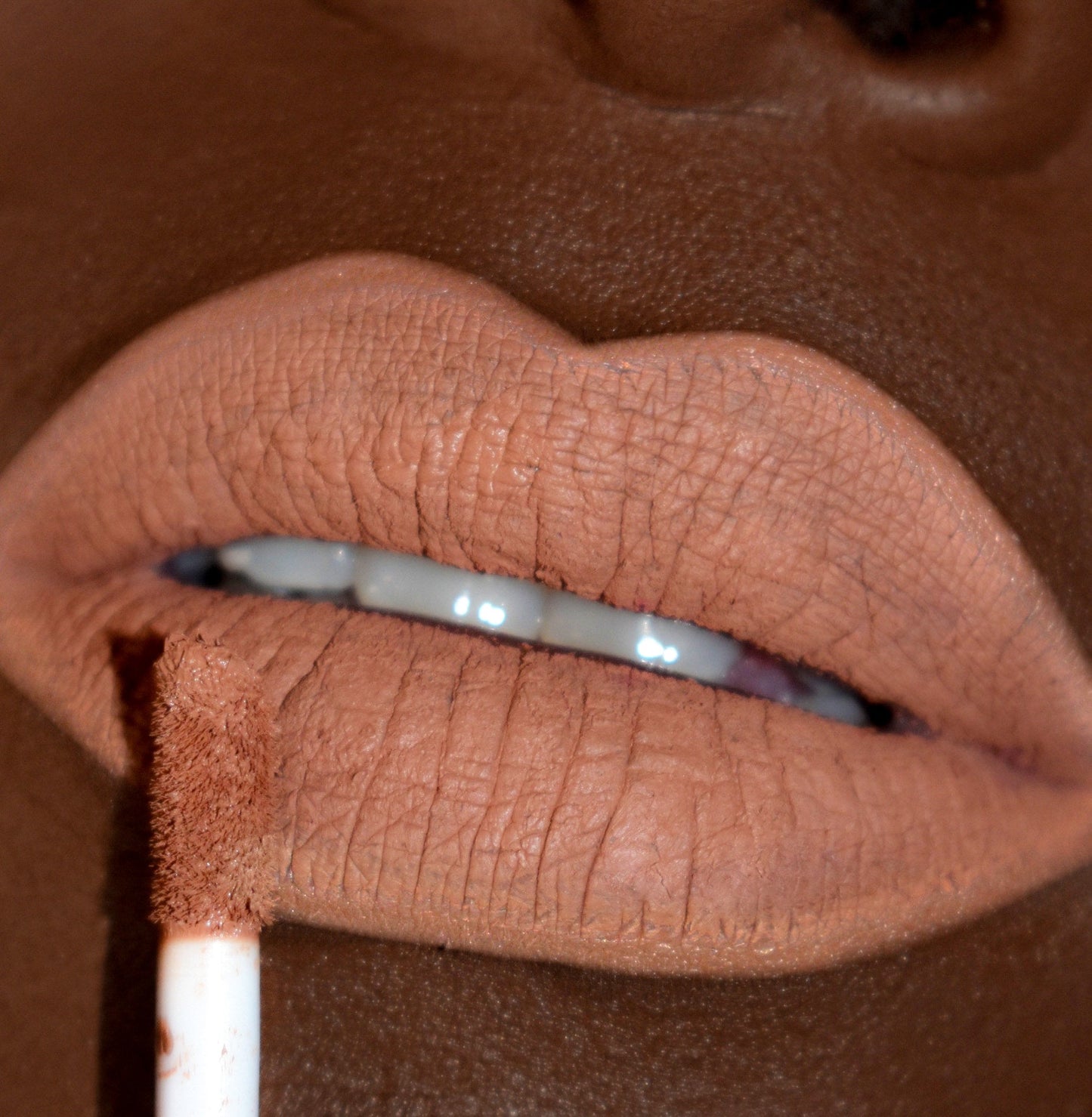 Neutral Brown Liner Lip Combos natural girl lips