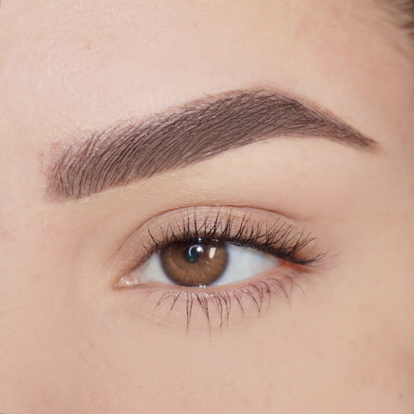 Close-up of Pink Lipps 'Taupe' Brow’d Up Brow Pencil precision tip showing ultra-fine stroke point and rich pigment for defining brows.