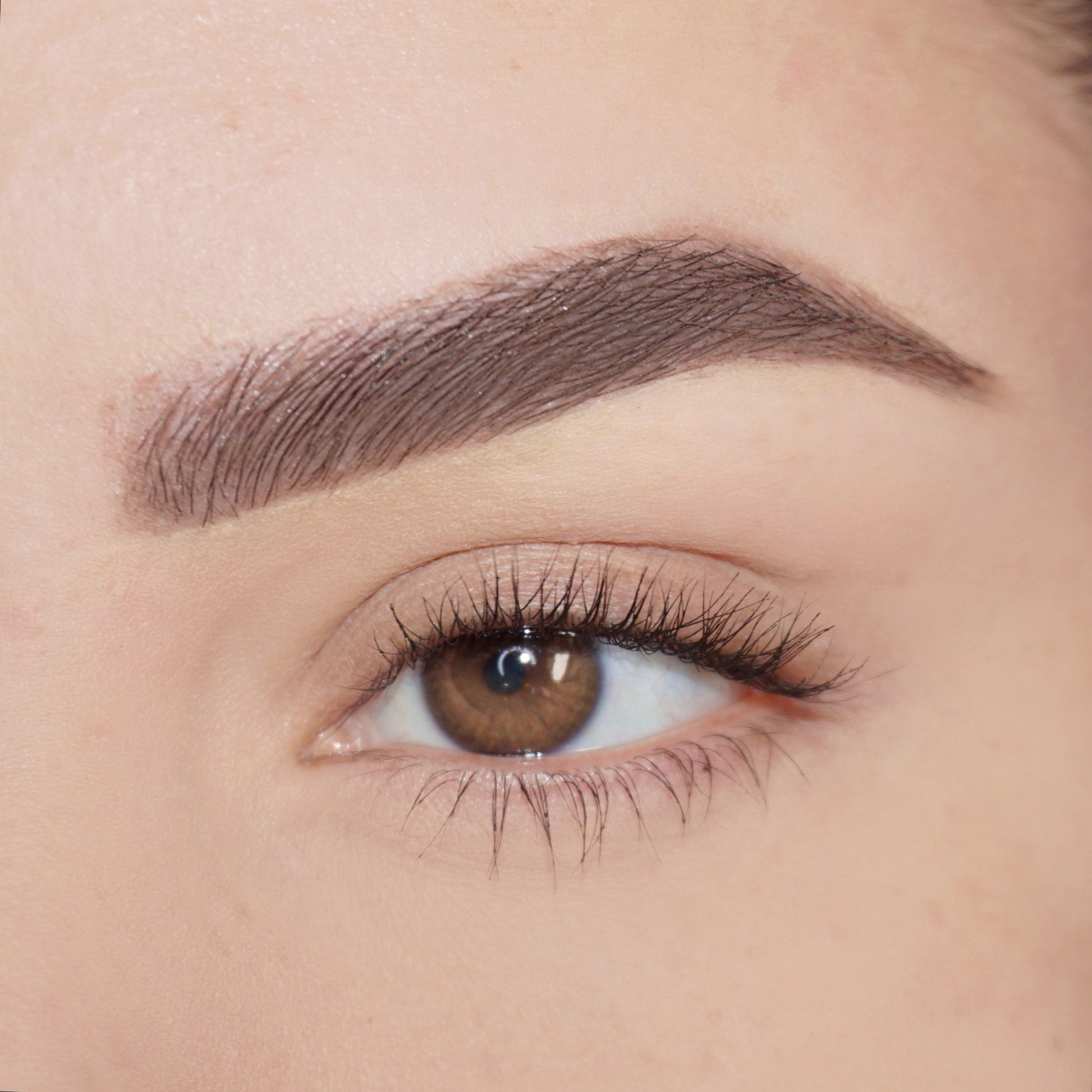 Close-up of Pink Lipps 'Taupe' Brow’d Up Brow Pencil precision tip showing ultra-fine stroke point and rich pigment for defining brows.