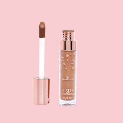 5-Star Concealer